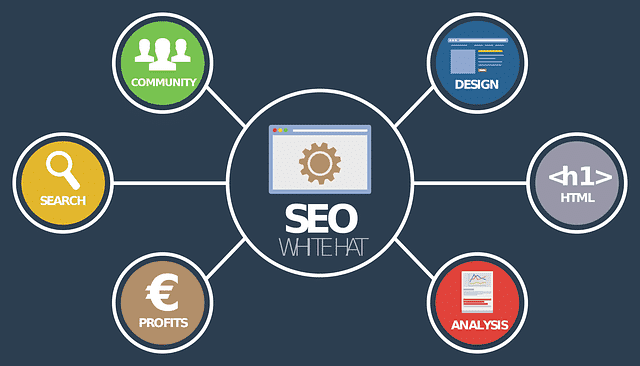 business SEO