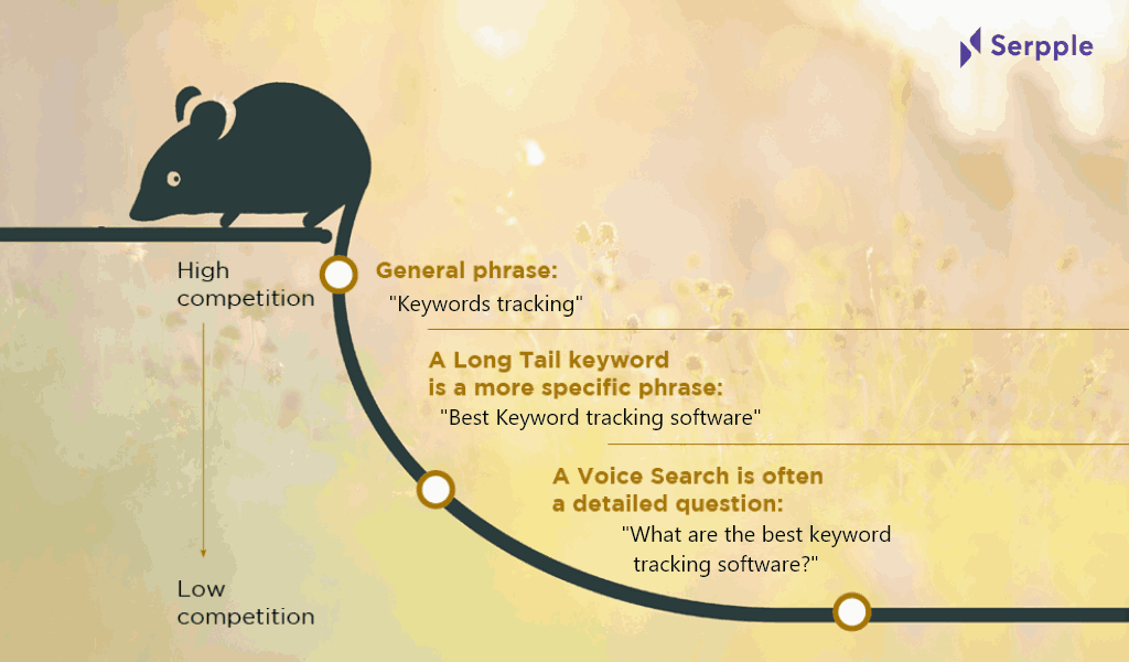 Targeting long tail keywords for voice search