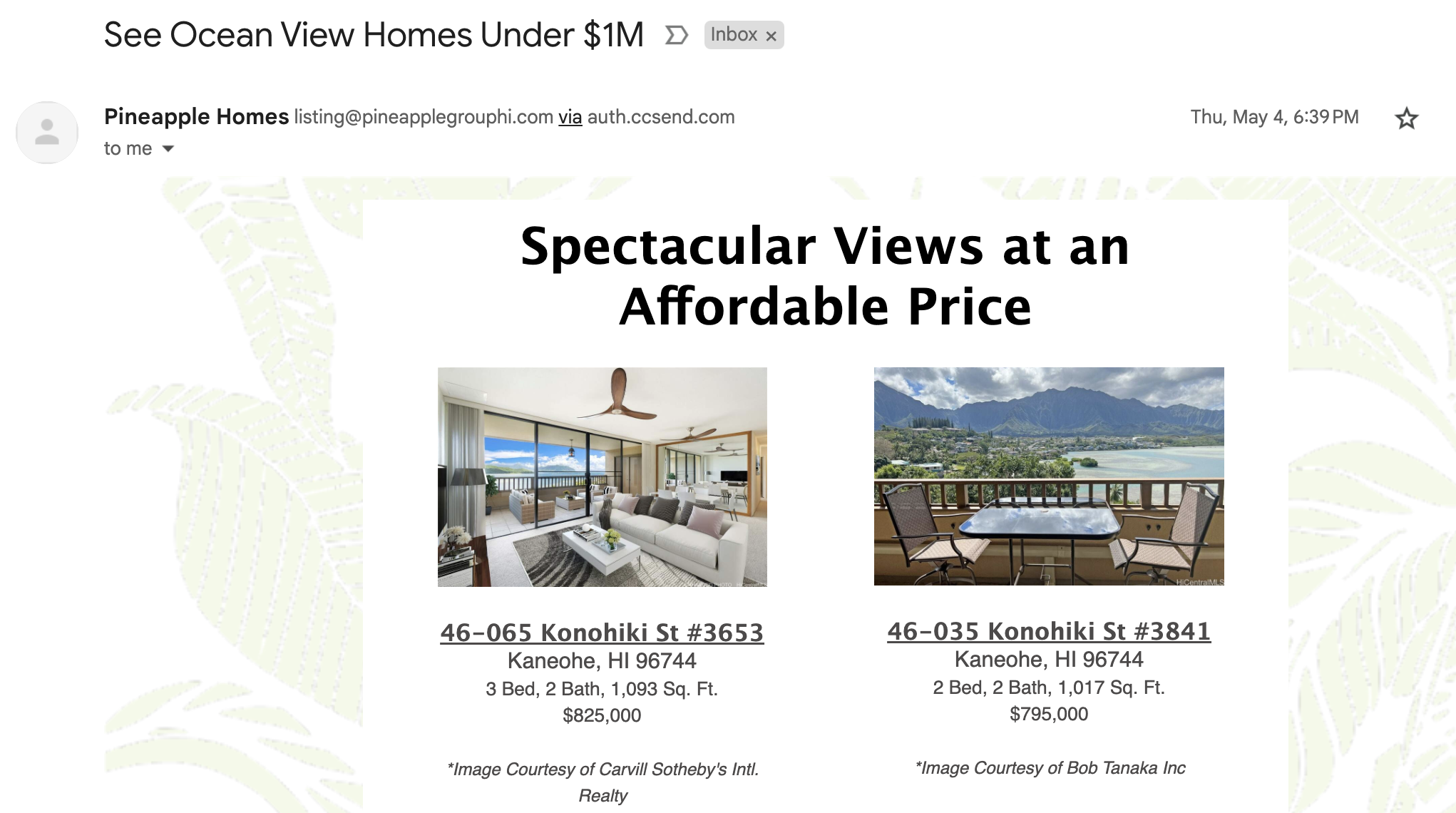 Example of a real estate listing email for Hawaii.